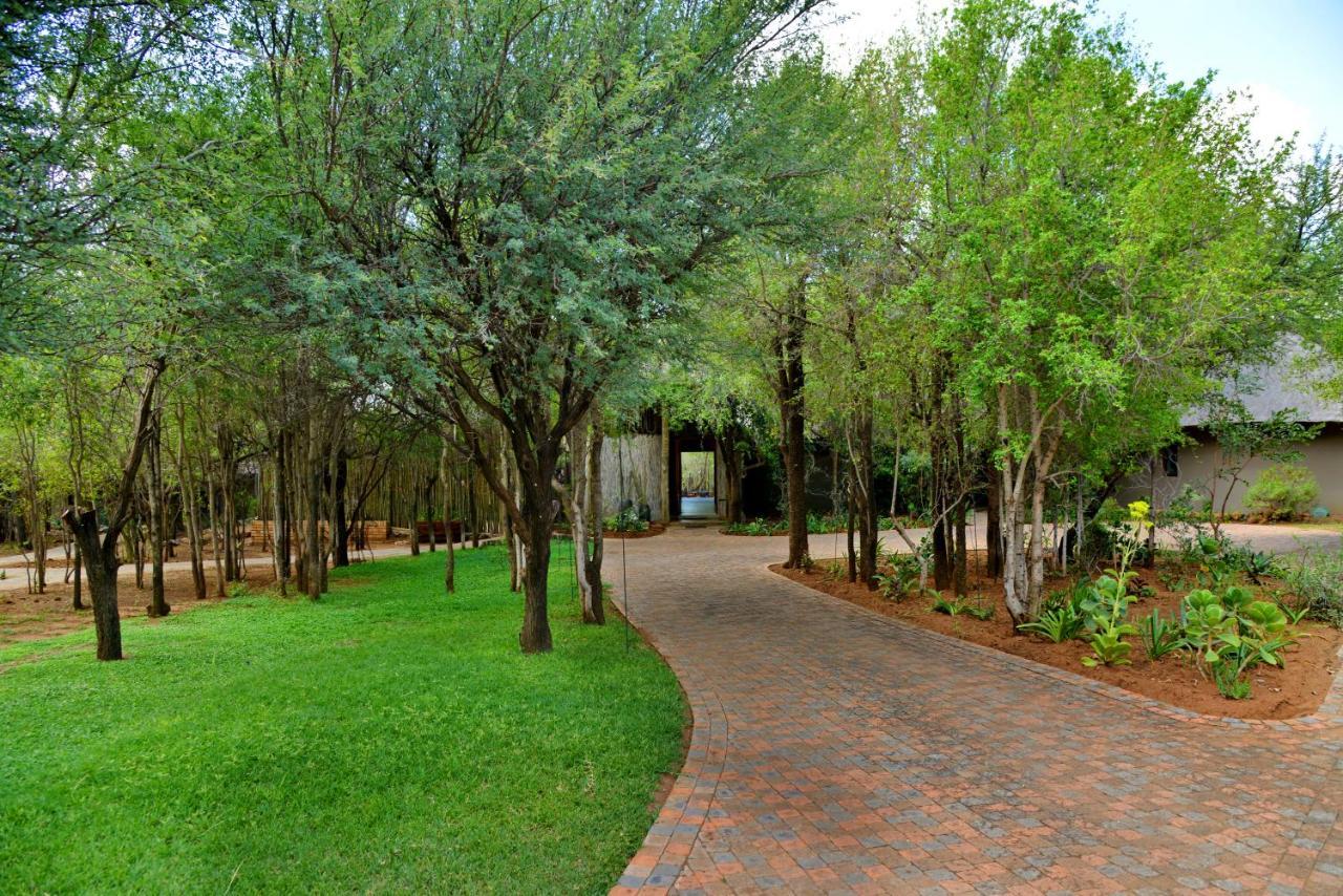 Tambuti Lodge Pilanesberg Bagian luar foto